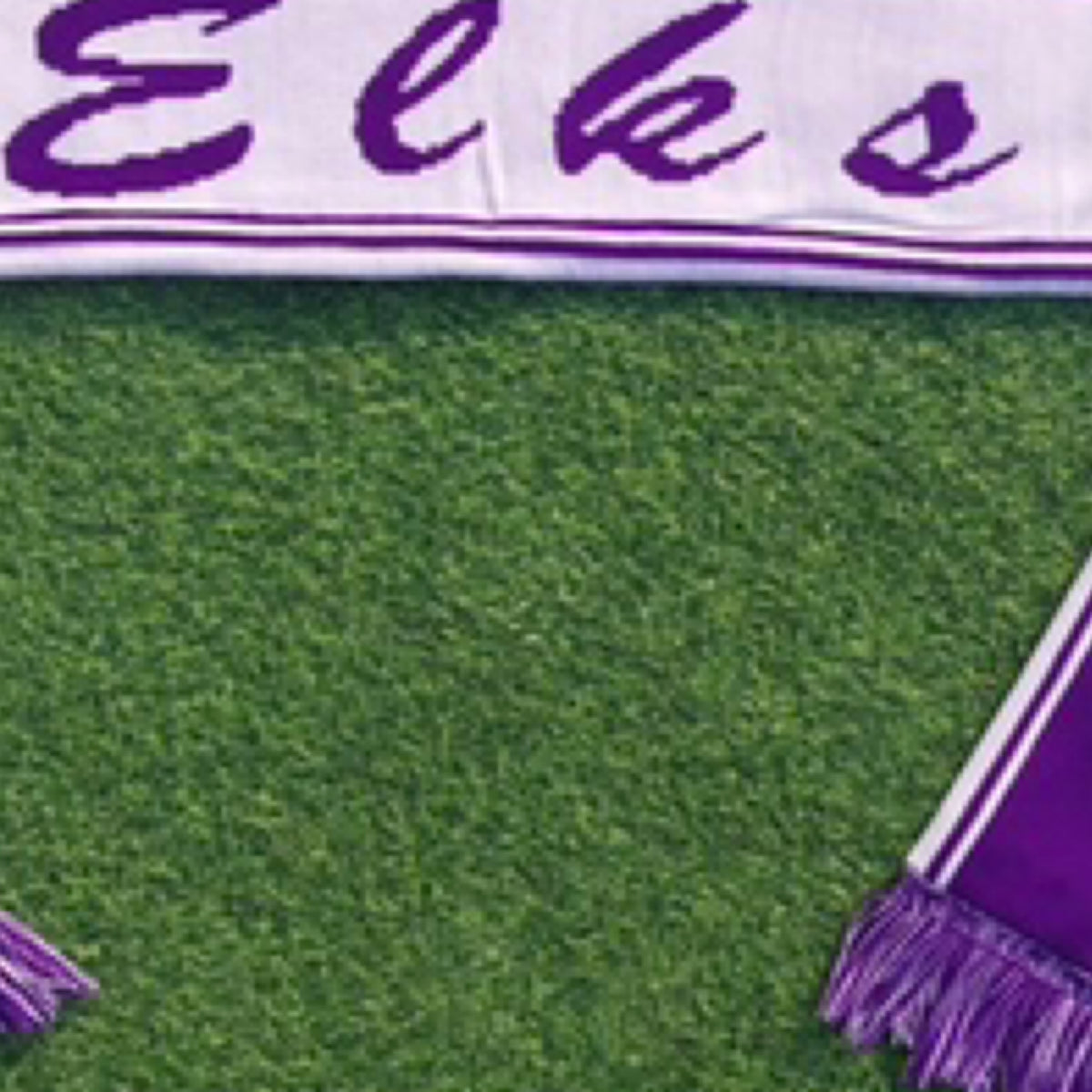 Purple/White Scarf Set